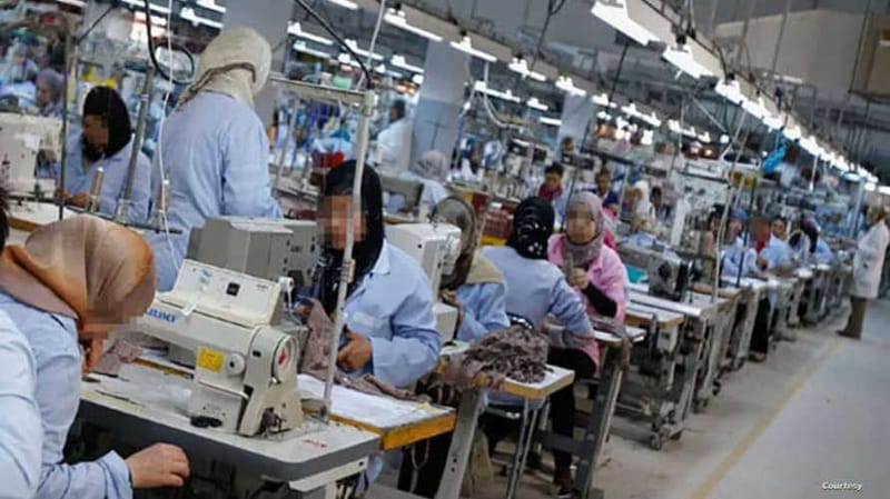 منظمات المجتمع المدني تستهجن غياب السياسات الداعمة لعمل المرأة في القرارات الحكومية وأوامر الدفاع