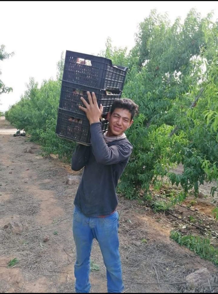 العمل في المزارع خيارات أطفال سوريا في المخيمات