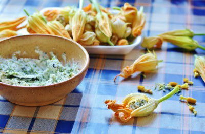 FLEUR DE COURGETTE FARCIES