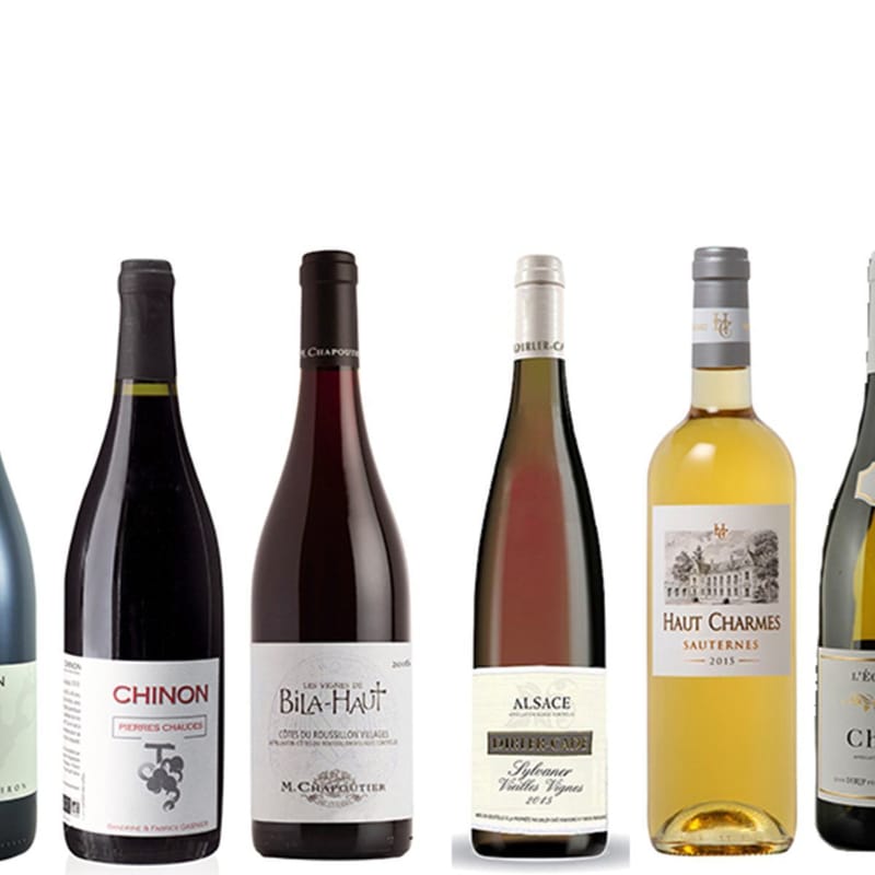 SELECTION VINS