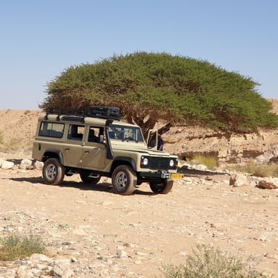 טיולי ג&#039;יפים  image