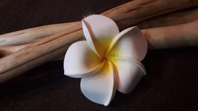 ACCESS FACELIFT® SÉANCES