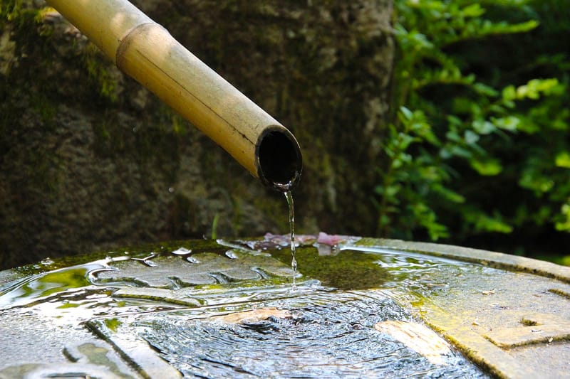 L'Éden de Chrysalide