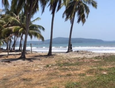 Navigating Aticama's Real Estate Market: Finding Your Dream Home with the Top Realtor