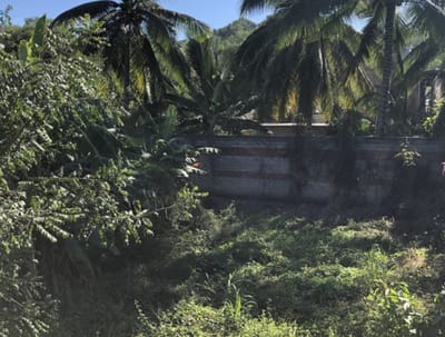 Exploring the Oasis: Homes for Sale in La Peñita