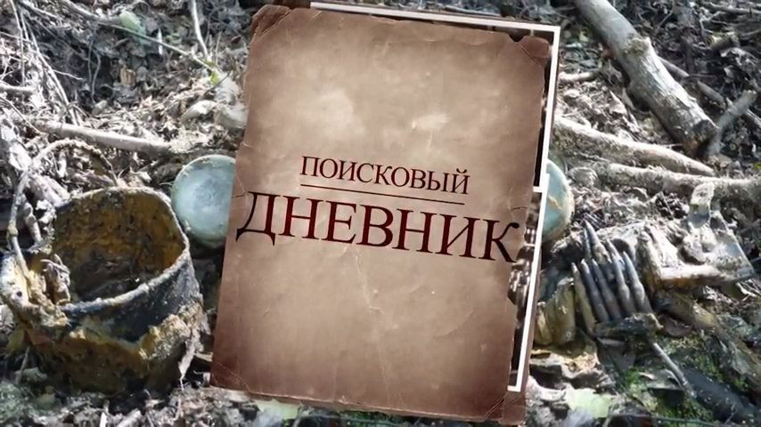 Поисковый дневник