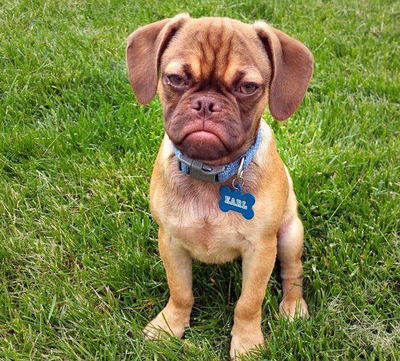 IL PERMALOSO: Chi è, perchè è così , cosa si nasconde dietro la permalosità.