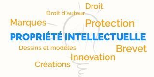 Droit de la Propriété Intellectuelle
