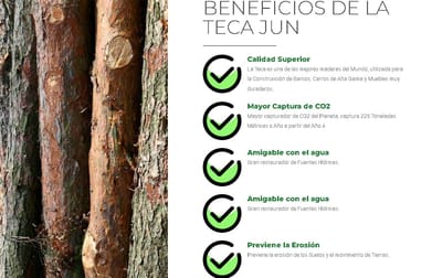 PROYECTOS FORESTALES