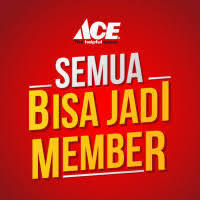 ACE ACCESS
