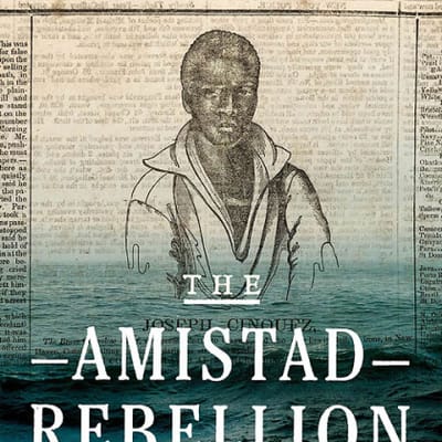 The Amistad Affair