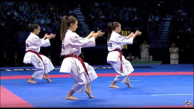 History of Karate