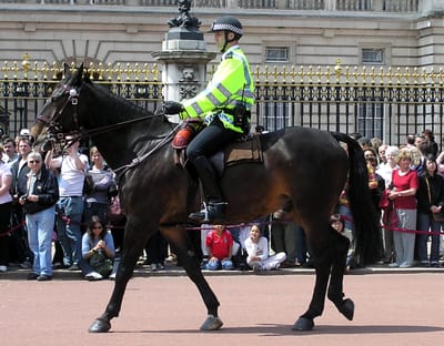 United Kingdom law enforcement