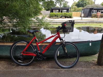 Terms and Conditions image