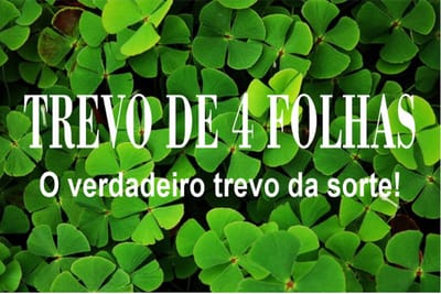 Sobre image