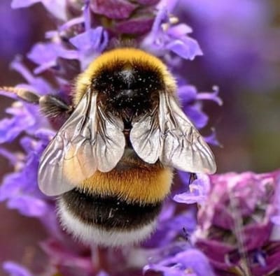 Il vaut mieux ne pas savoir certaines choses!