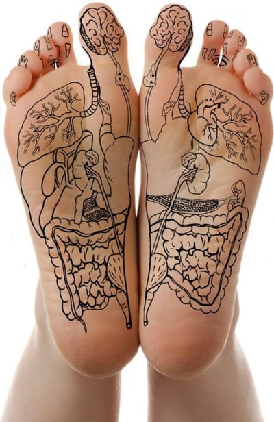 Histoire de la réflexologie plantaire