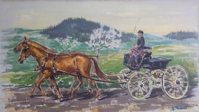 Trincots Pferde mit Break in flotter Fahrt