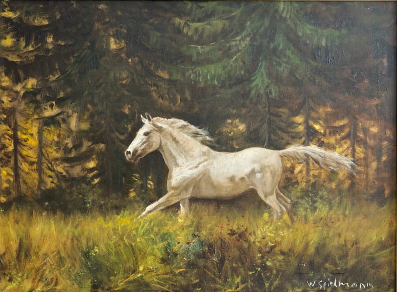 (1W) SCHIMMEL IM GALOPP AUF WALDWIESE VOM W. SPIELMANN