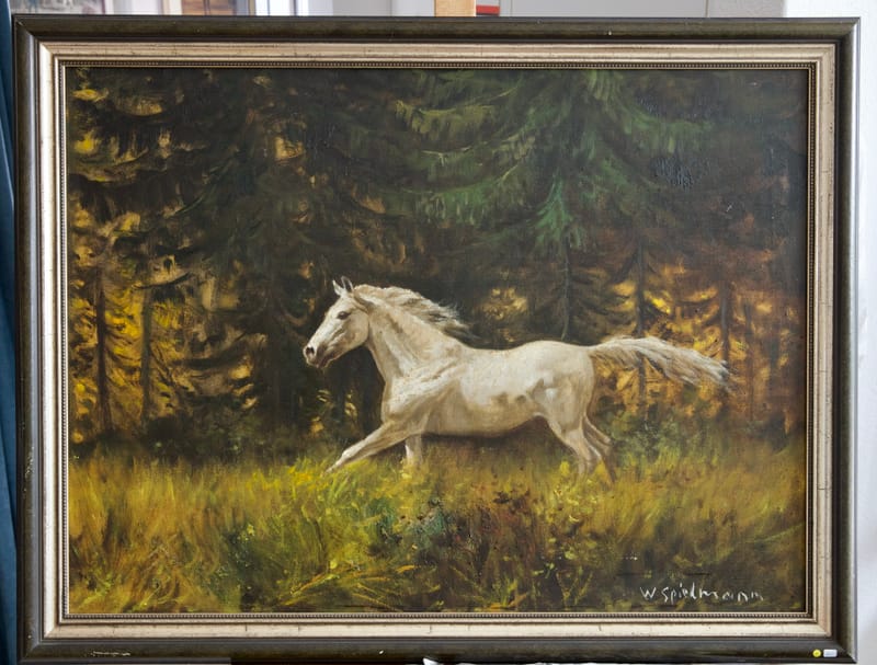 (1W) SCHIMMEL IM GALOPP AUF WALDWIESE VOM W. SPIELMANN