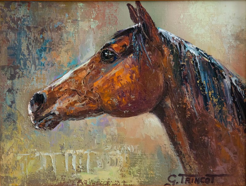 (187W) PORTRAIT (KOPF) BRAUNER VOLLBLÜTER VON GEORGES TRINCOT 1921 - 2005