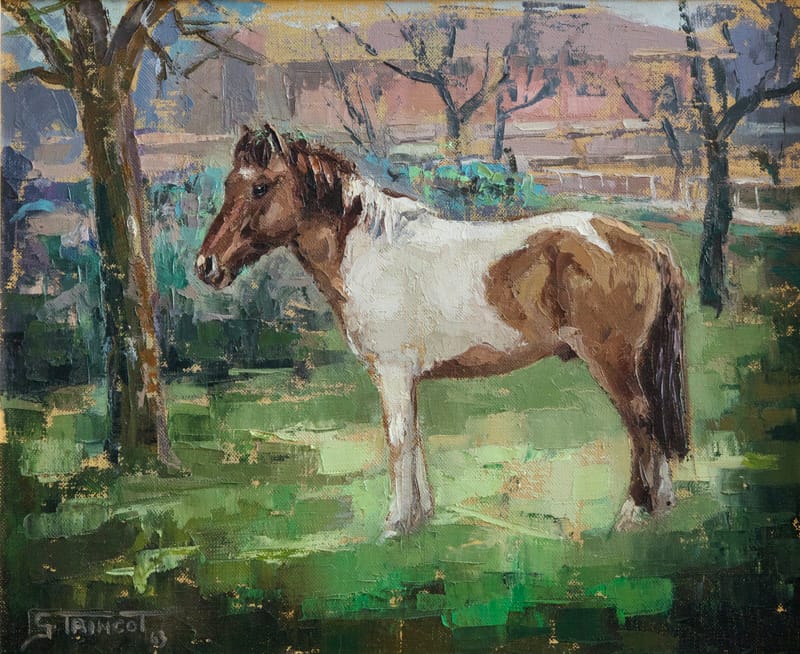 (10W) SHETLAND PONY VON GEORGES TRINCOT 1921 -2005