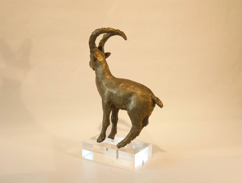 (36S) STEINBOCK VON FREDDY AIR RÖTHLISBERGER *1937 