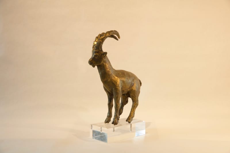 (36S) STEINBOCK VON FREDDY AIR RÖTHLISBERGER *1937 