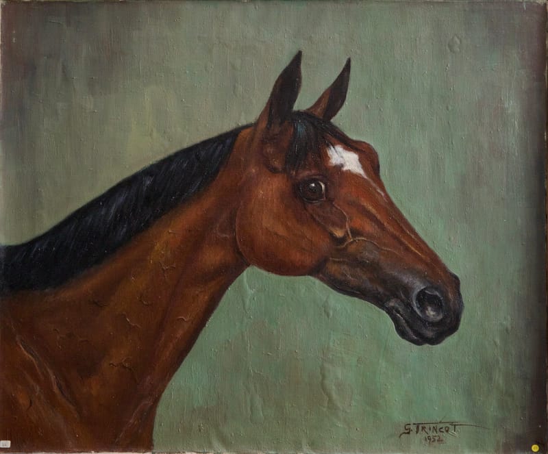 (17W) PFERDEPORTRAIT DUNKELBRAUNER HENGST VON GEORGES TRINCOT