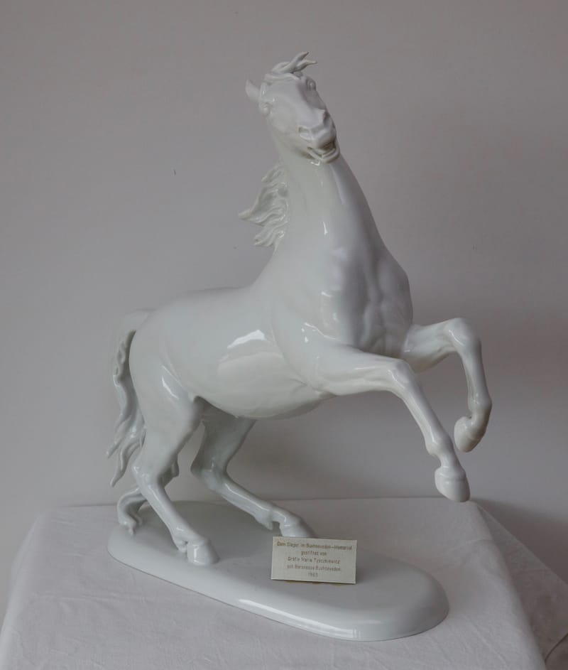 Steigender Hengst von H. Meisel Rosenthal