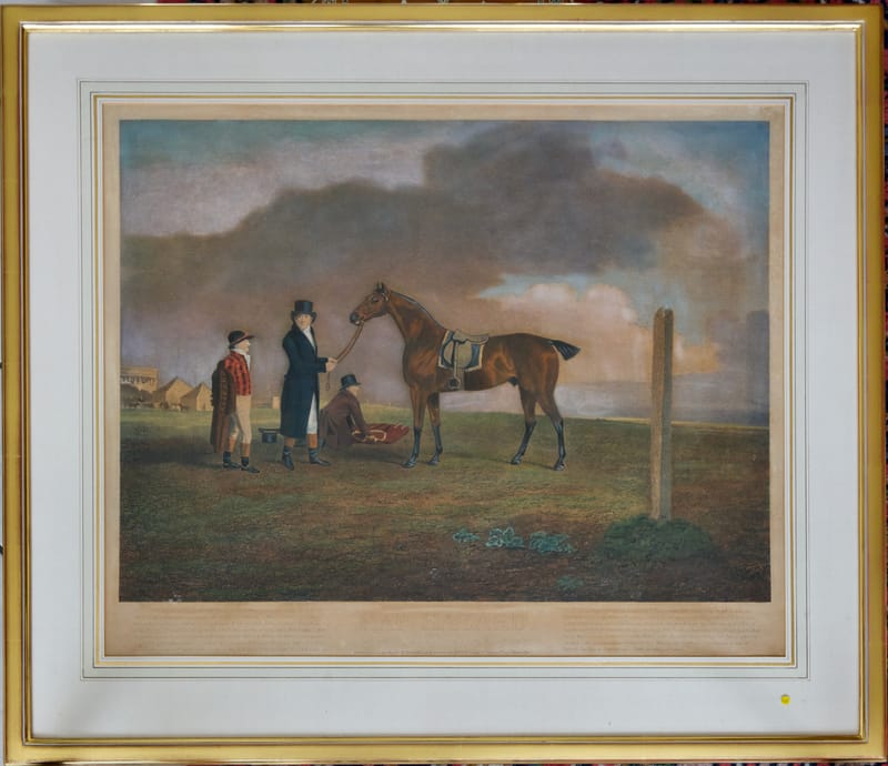 (208W) „HAP HAZART“HENGST VOR DEM RENNEN