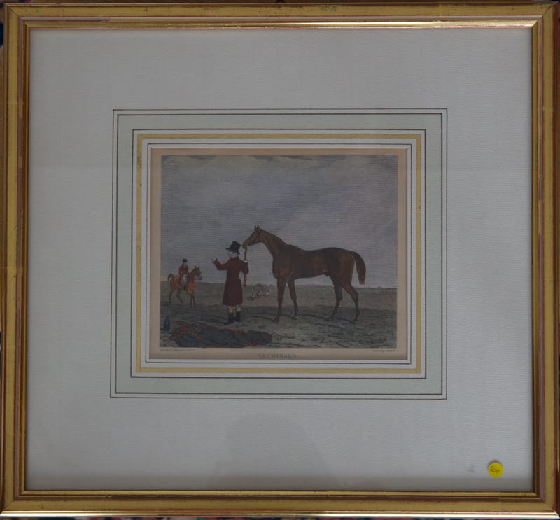 (200W) ARCHIBALD IM TRAINING