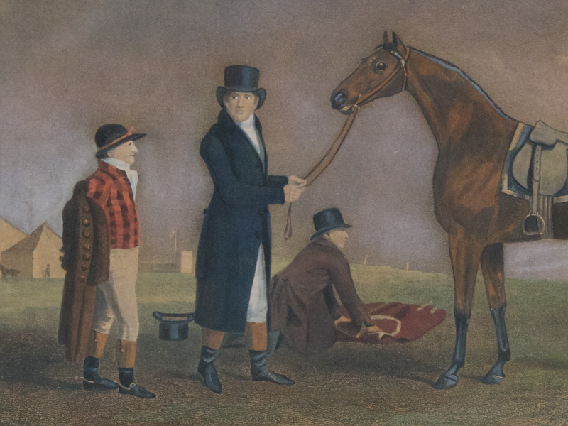 (208W) „HAP HAZART“HENGST VOR DEM RENNEN