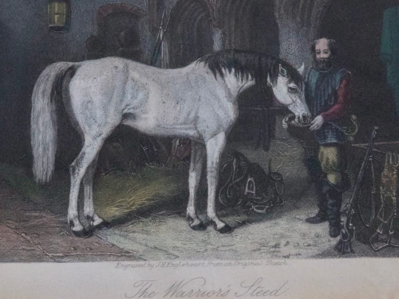 (251W) THE WARRIOR‘S STEED