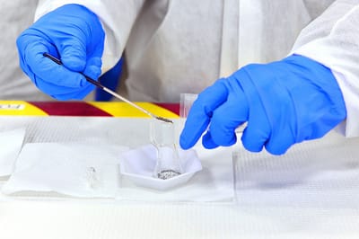 מה זה זיהוי פלילי? image