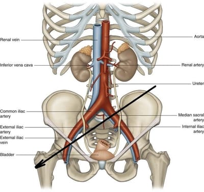 שינוי סעיפי אישום מרצח וניסיון רצח להריגה וחבלה חמורה בהתאמה!