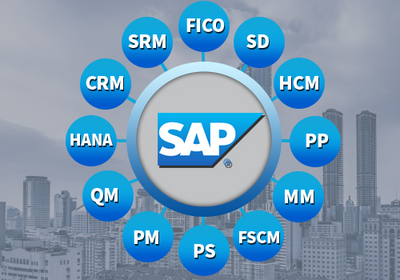 Sap Basis Jobs In Usa And The Vital Roles Performed By The Professional