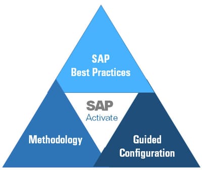 Improving SAP Project Management