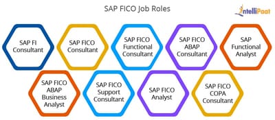 All You Need To Know About Sap Jobs In South Carolina And The Responsibilities Of A Sap Fico Functional Analyst