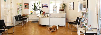 Zusammenarbeit image