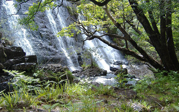 Killarney National Park Van Tour