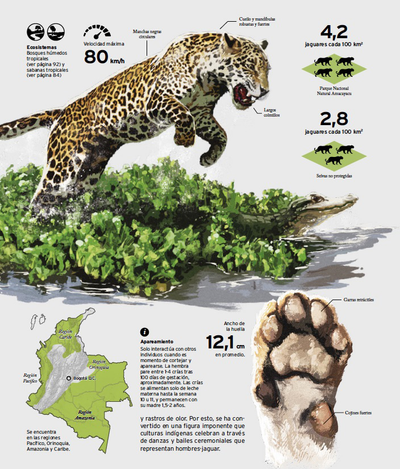 Viajar es ir a un mundo físico como personal