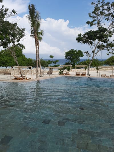 When dreaming becomes reality