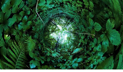 Puro Arte en Bogotá, encontrémonos en Artbo