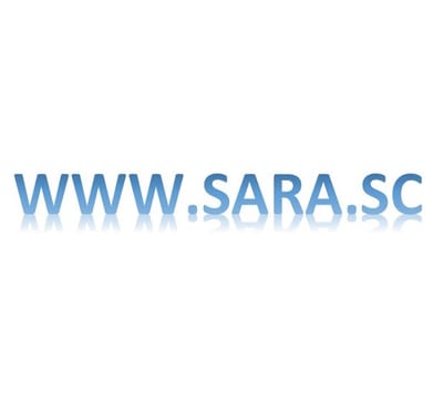 New Website Domain Name - SARA.SC
