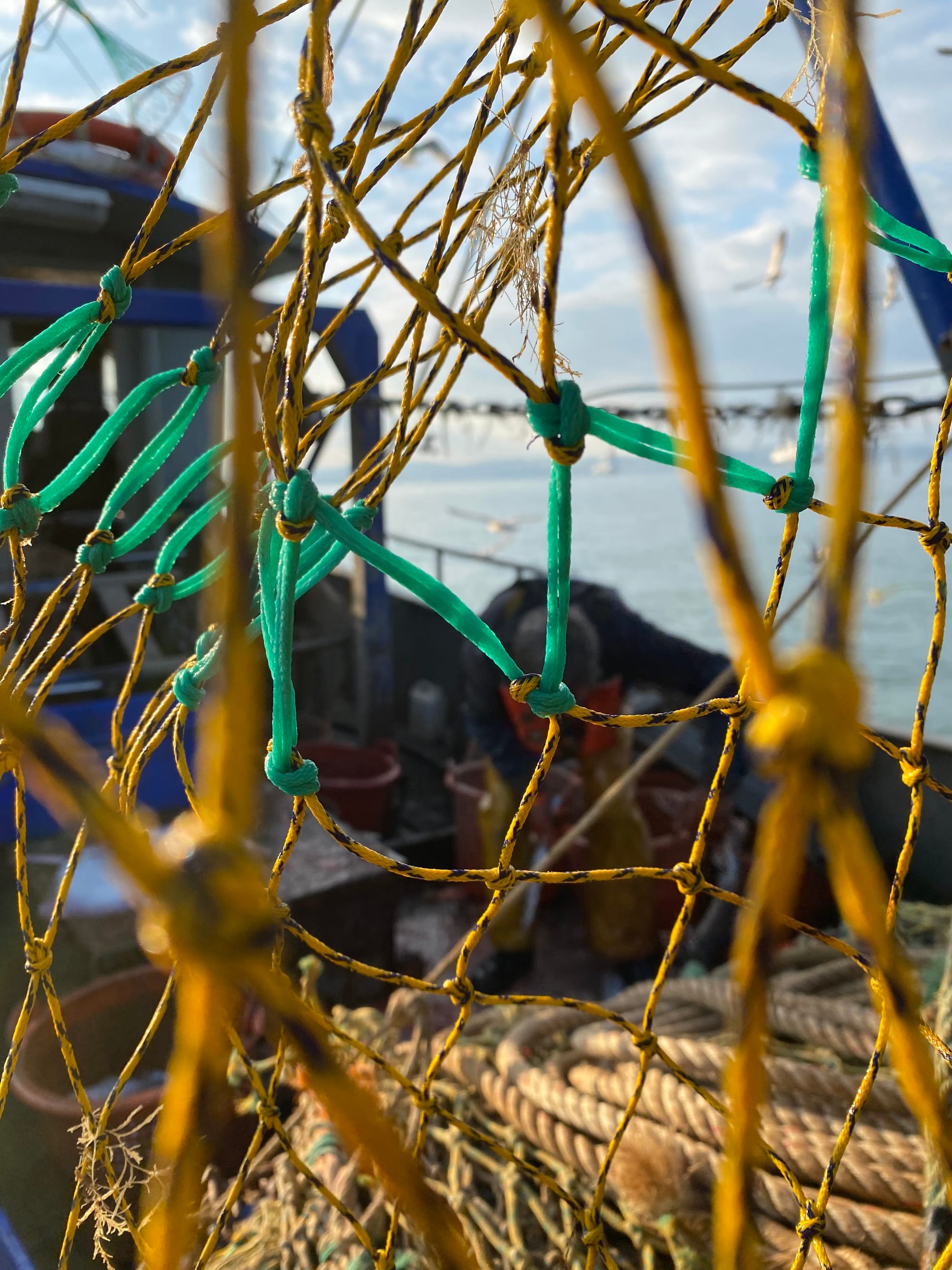 Need for Evidence from Fishermen on Trawl Mesh Size Consultation - Area VIIe