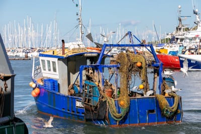 MCA Guidance to Surveyors on Detention