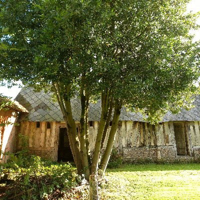 Nouveau : on vous partage nos connaissances de jardiniers