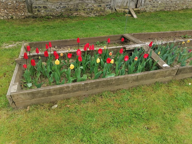 Évolution des fiches jardinage