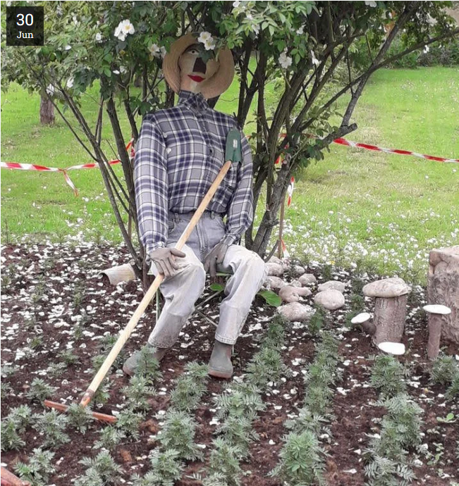 Vous aimez jardinez ?